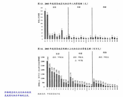 絲路視覺補充法律意見書（二） 計算機軟硬件技術開發合規與實證分析